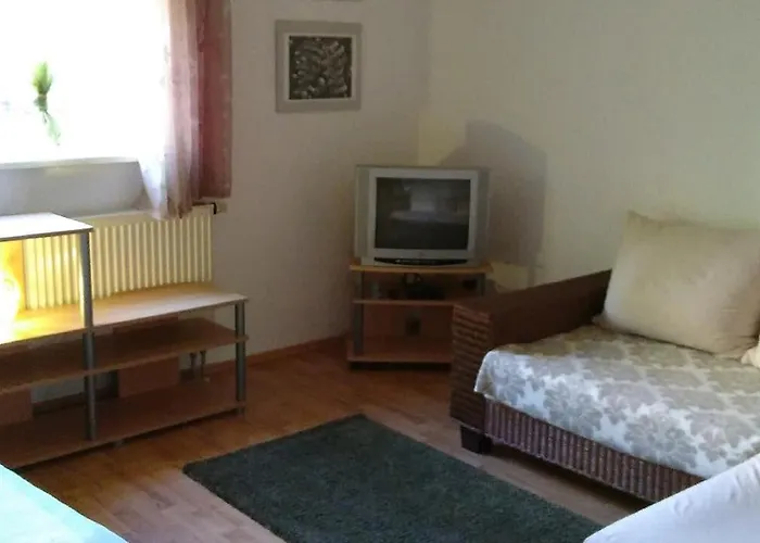 Steinwald Auslaeufer Mit Blick Auf Koesseine * Waldershof