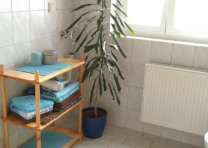 Steinwald Auslaeufer Mit Blick Auf Koesseine