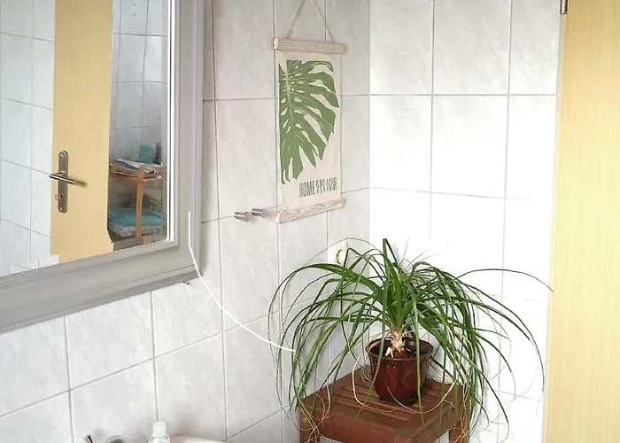 Apartamento Steinwald Auslaeufer Mit Blick Auf Koesseine